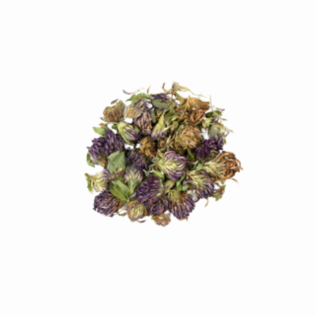 Organic Red Clover Flowers